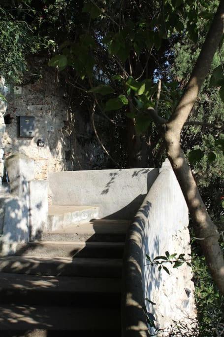 Casa Letizia Διαμέρισμα Ταορμίνα Εξωτερικό φωτογραφία