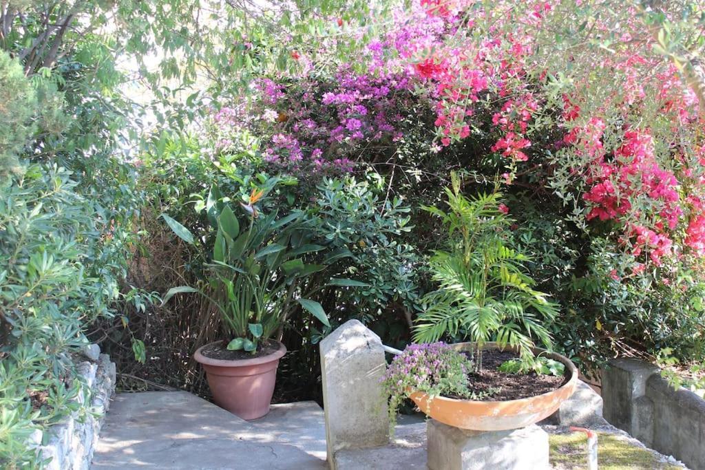 Casa Letizia Διαμέρισμα Ταορμίνα Εξωτερικό φωτογραφία